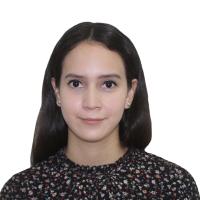 LIA DENISSE VASQUEZ BONILLA